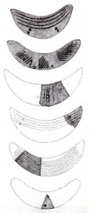 LisbonPenlunulascalcaires