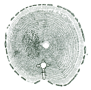 Aerial view of the cruciform chamber within the great mound of Cairn T