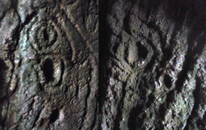 Vulvas in the passageway stones of Cairn T: two details