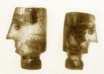 amber heads, hairless, with prominent noses